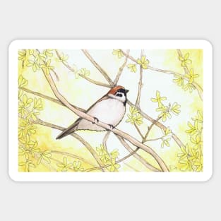 Sparrow in a Forsythia Bush Watercolor Illustration Sticker